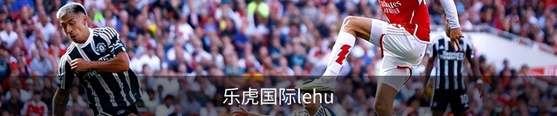 乐虎国际lehu